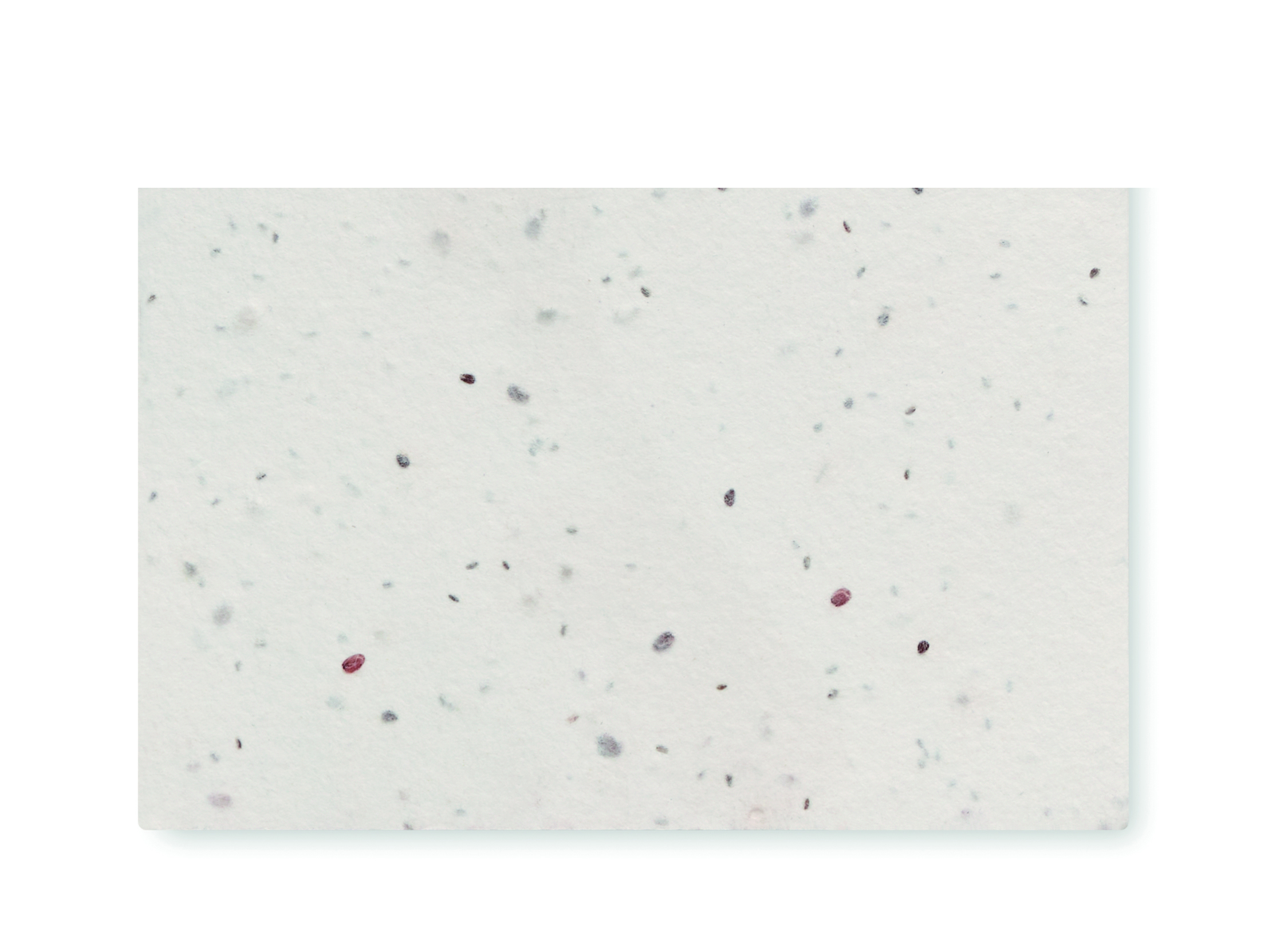 Küchenpapier, Napkin, Stoff, Mikrofasern, gefärbt flecks