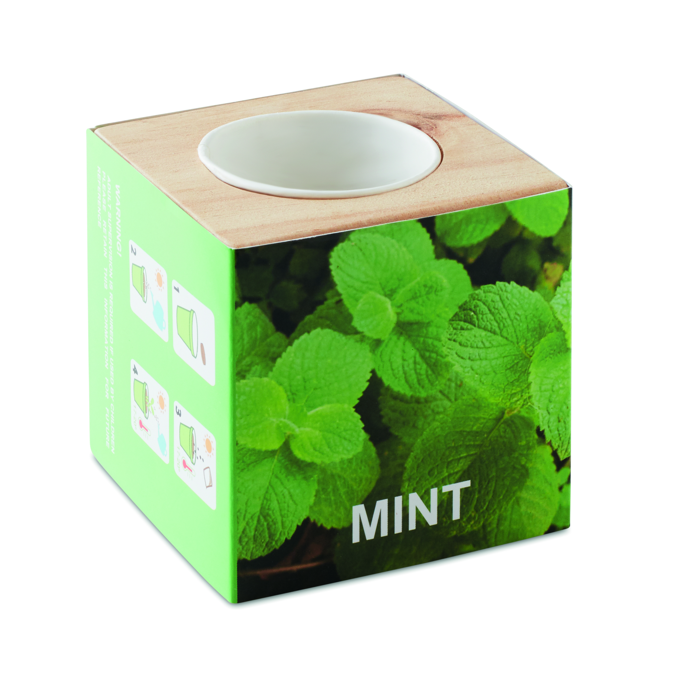 Mint, Kräuter, Pflanzen-Box, Minze, Packung