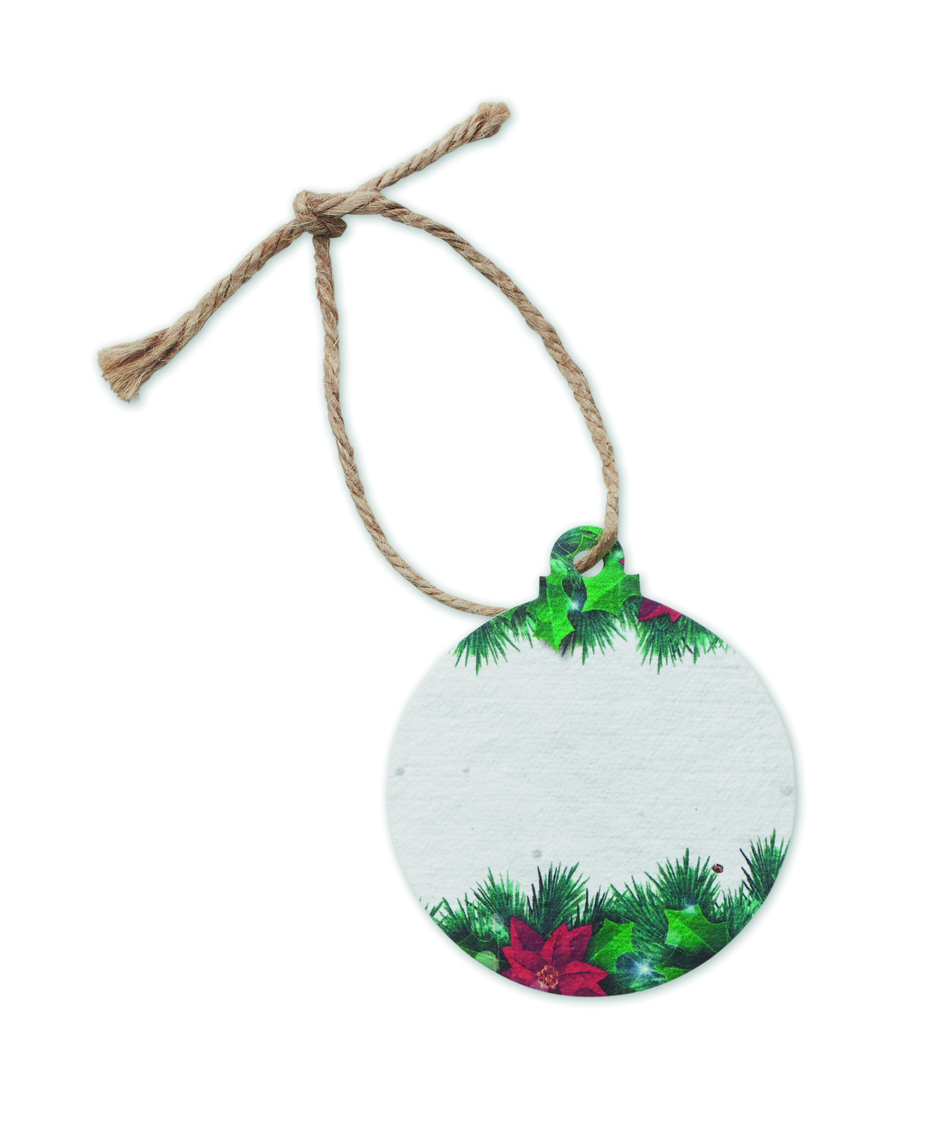 tag, rund, Hänger, Schnur, Geschenkanhänger, tags, tag, runde_tar, geschenk_tag, weihnachten, grüne_feiertags_schnur, ornament, Tag, Product tag, tags, round tag, hanger, twine, decorative tag, christmas tag