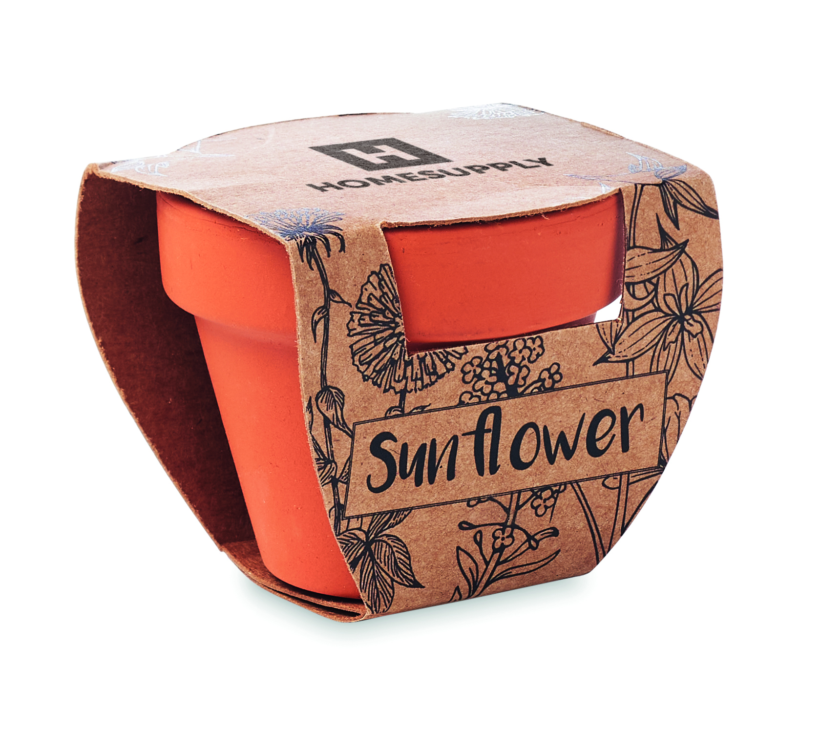 Sonnenblume, Terrakotta, Etui, Pflanzgefäß, Sonnenblume