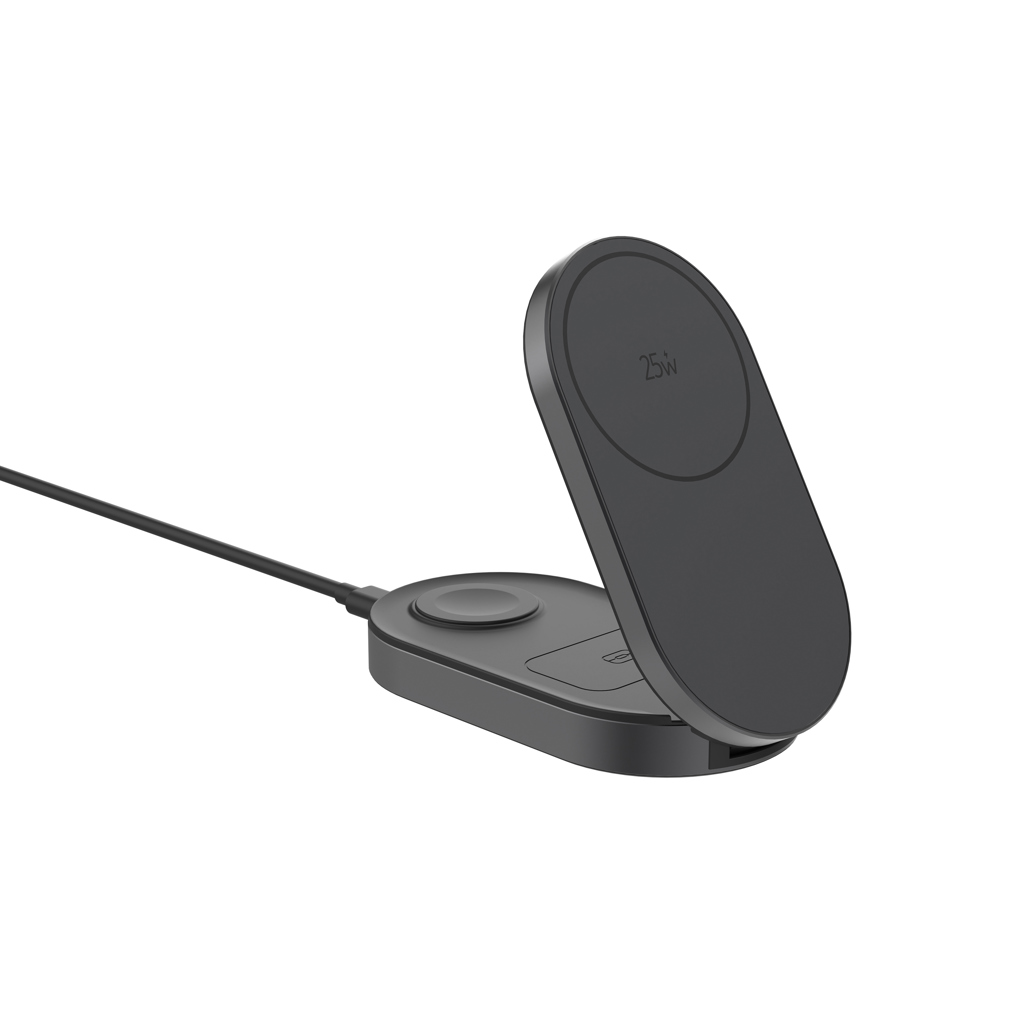 Elektrisches Gerät, Mikrophon