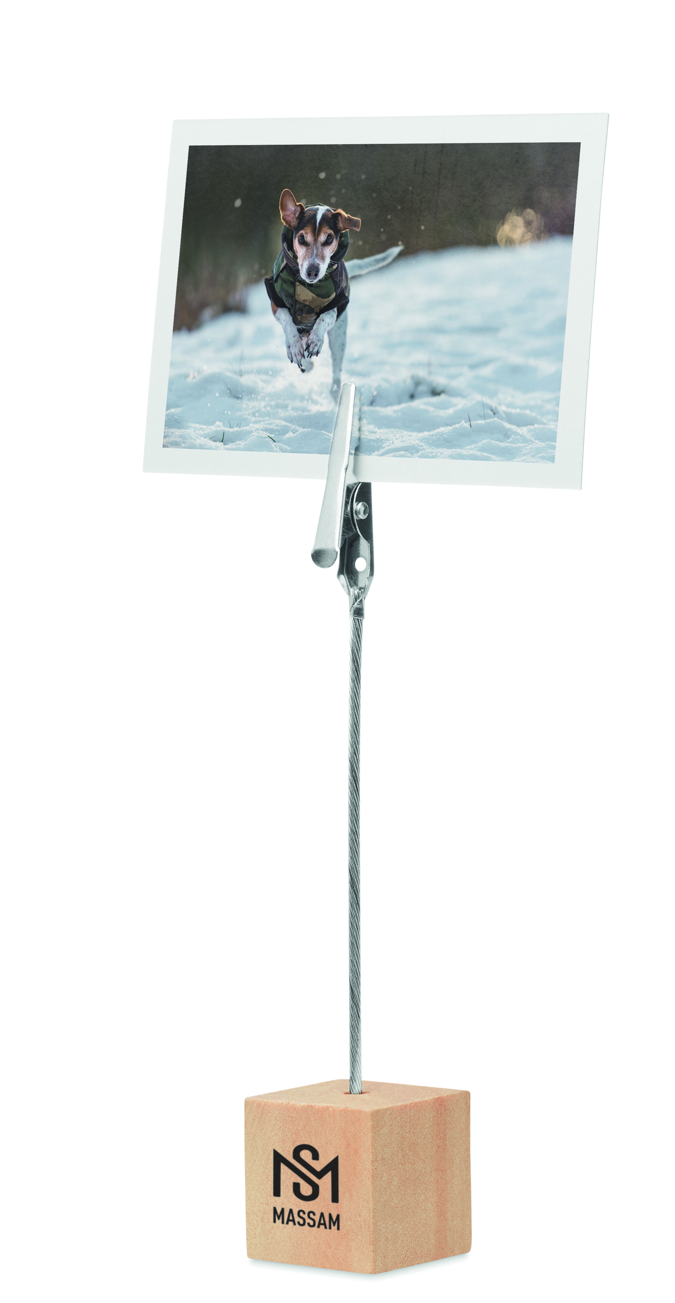 photo, Hund, Winter, Schnee, Fotaständer