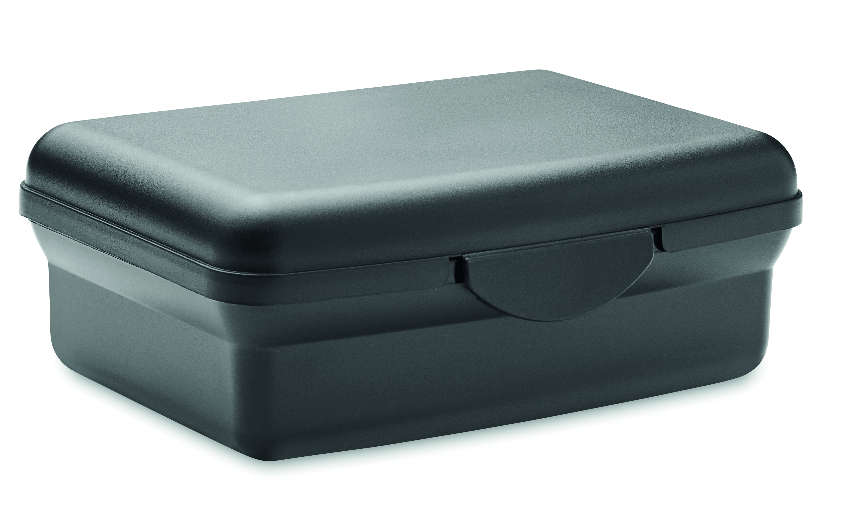 Lunchbox, Storage box, Plastic case, Dark teal, Clamshell lid